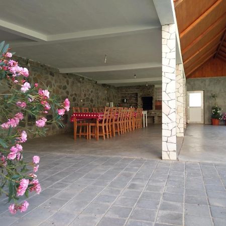 Pensiunea Tiuta Hotel Корбени Екстериор снимка