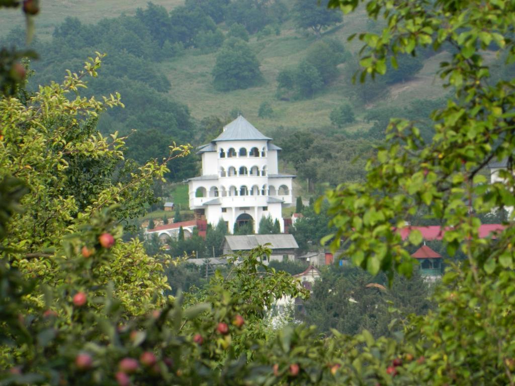 Pensiunea Tiuta Hotel Корбени Екстериор снимка