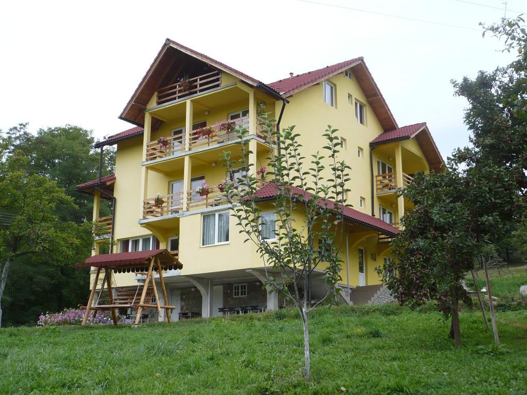 Pensiunea Tiuta Hotel Корбени Екстериор снимка