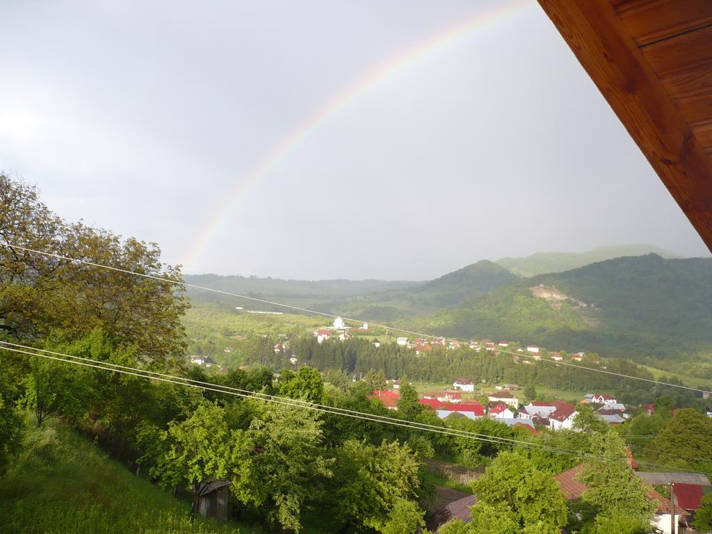 Pensiunea Tiuta Hotel Корбени Екстериор снимка